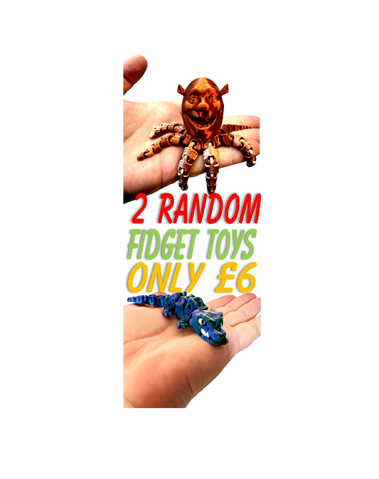 2 Random 3d printed Fidget Toys