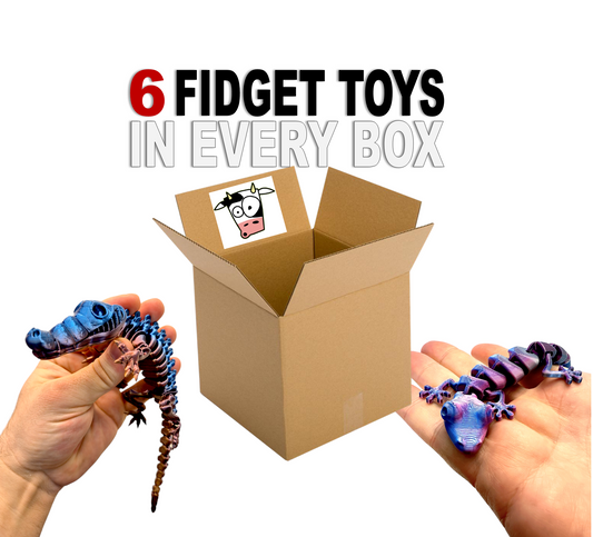 Mystery Fidget/Flexi Box (Contains 6 Toys)