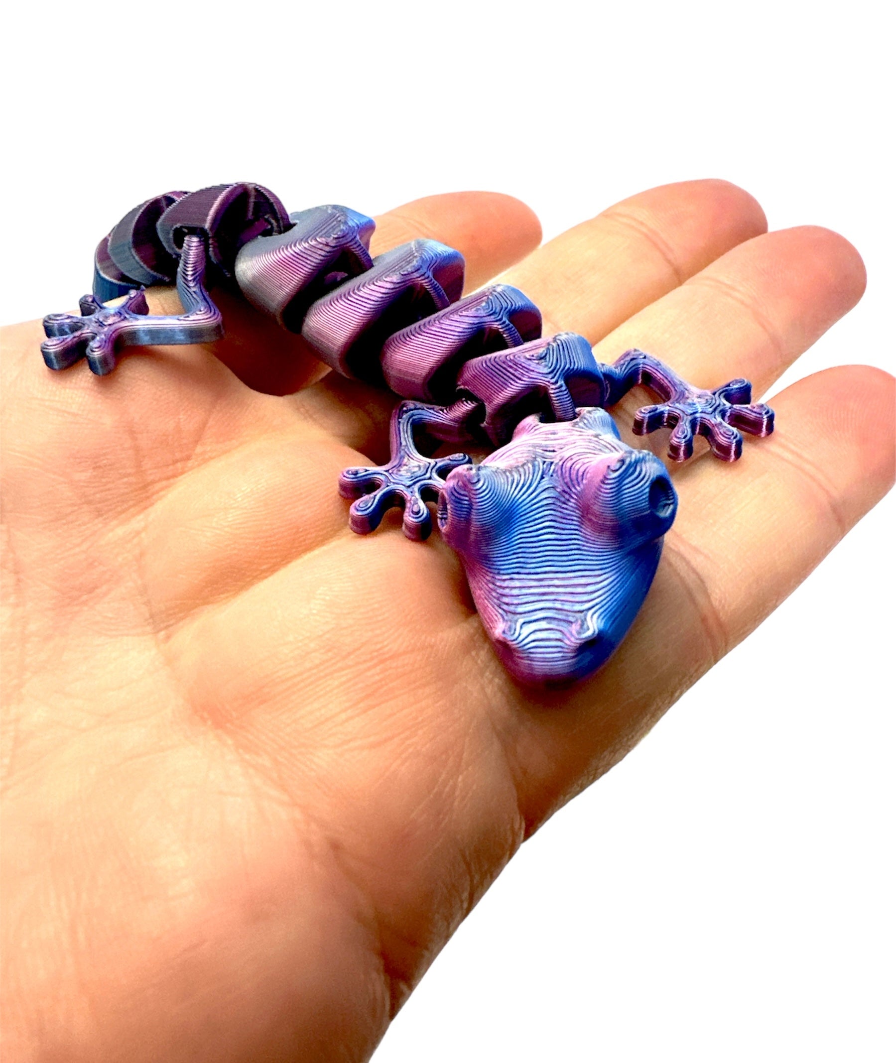 Lizard Fidget Toy